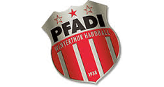 pfadi logo